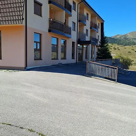 Montis Daire *